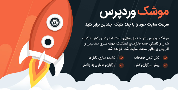 افزونه وردپرس WP Rocket